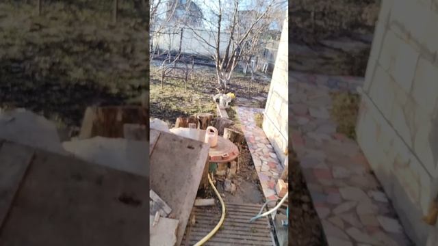 Утрення дача