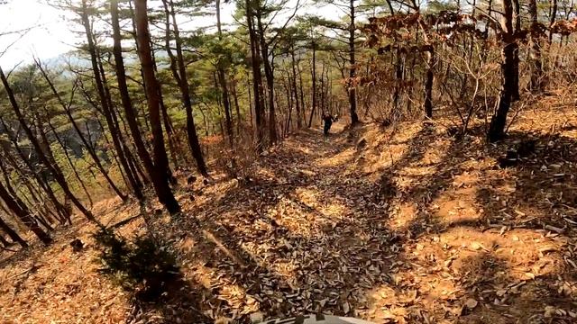 월미산용봉-사색의길