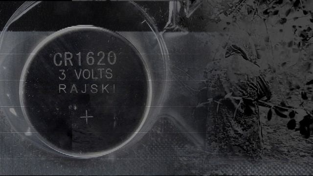 RAJSKI - CR1620