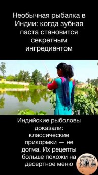🎣 Необычная рыбалка в Индии: когда зубная паста становится секретным ингредиентом👌