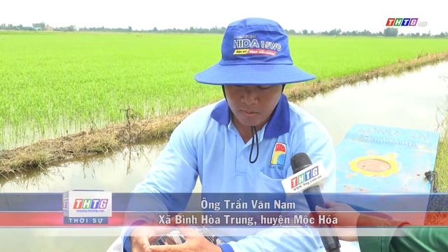Kính mời bà con đón xem  trải nghiệm của người nông dân khi sử dụng hai sản phẩm Satunil + Chesaco