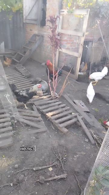 Нельзя столько работать