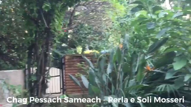 Pessach pot pourri