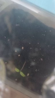 Большое спасибо за такой креативный и наглядный отзыв о моей операции по замене хрусталика!!!