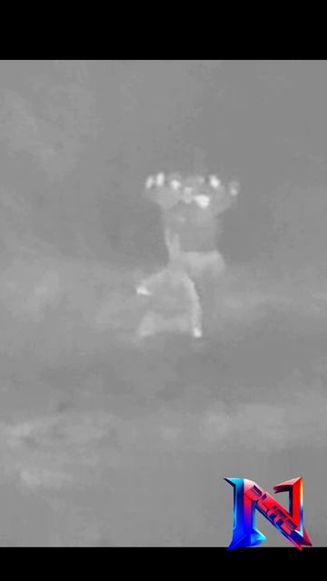 Группа боевиков ВСУ сдалась в плен в районе Щербаки в Запорожской области