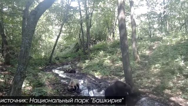 Мобильные новости №4