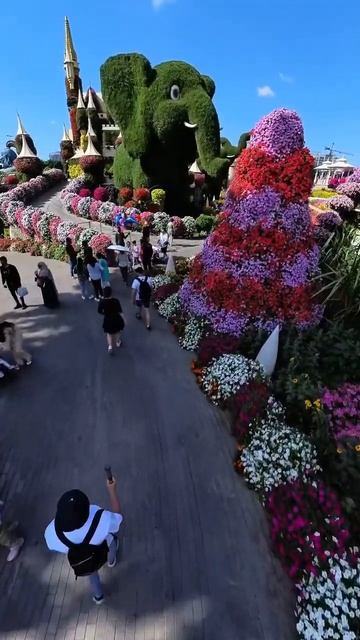 Цветочное безумие в Дубае  Miracle Garden #dubai