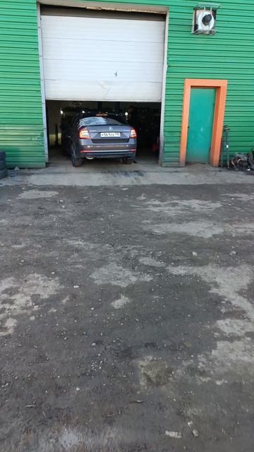 Octavia A7 заднее