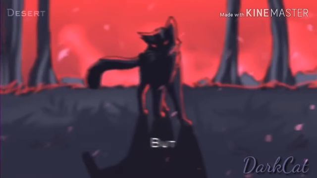 Коты Воители - Cruel World