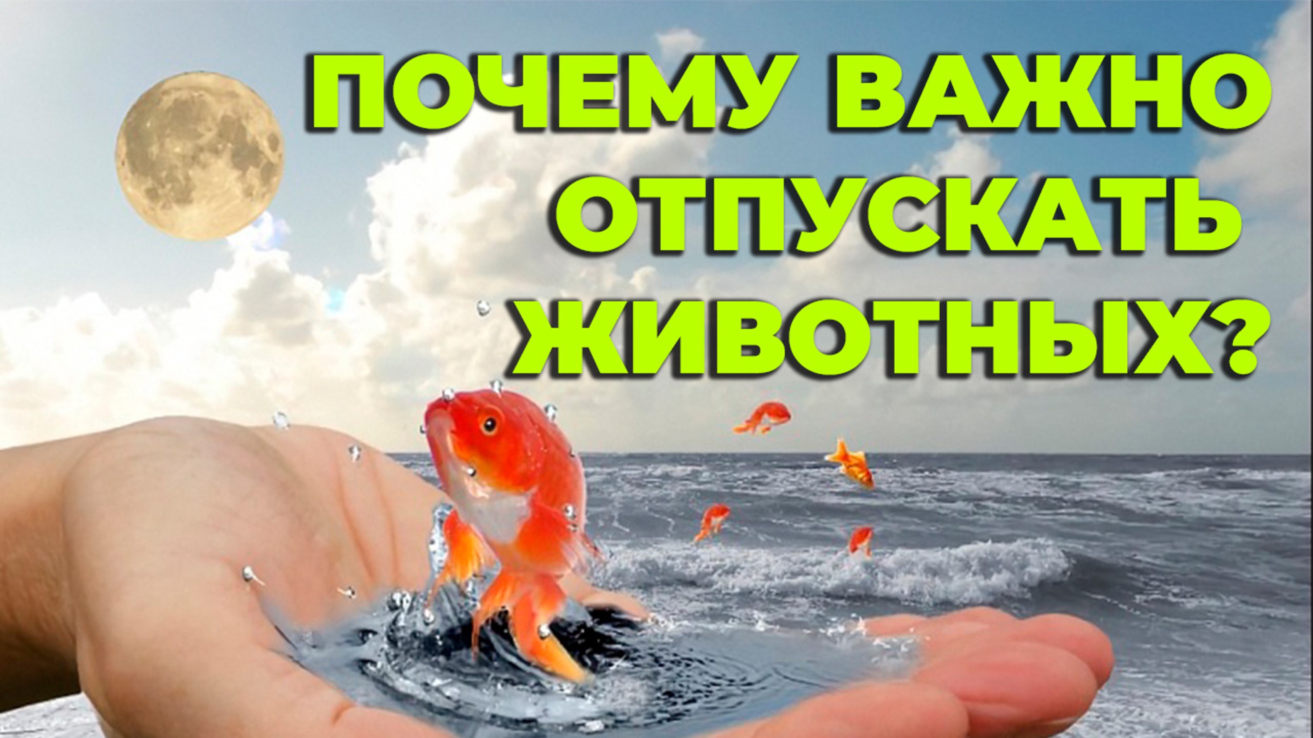 Буддийская практика спасения жизни "Цетар" | практика выкупа и дарования жизни | твори добро