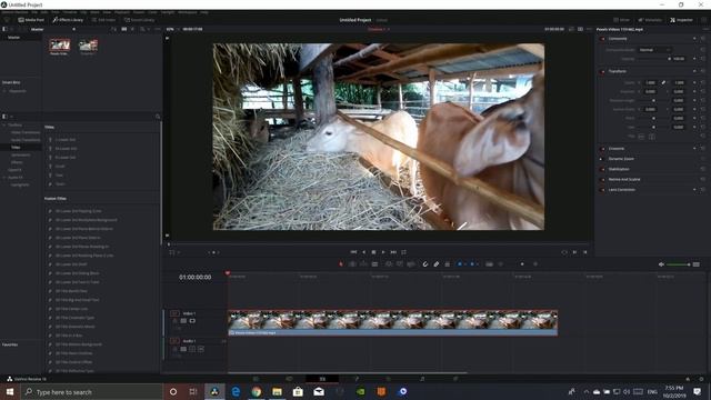 How to add slow motion in Davinci resolve | tutorial