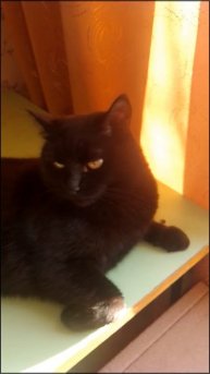 Не надо солнца...