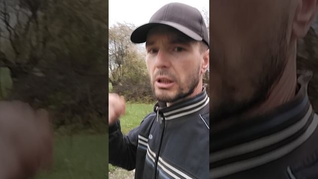 Идя к цели живите здесь