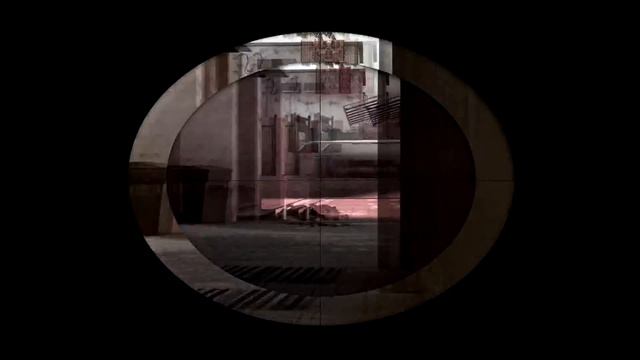 WhyBaby-Harley (csgo fragmovie)
