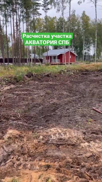 РАСЧИСТКА УЧАСТКА / ЭКСКАВАТОР ПОГРУЗЧИК CAT #благоустройство #дача #дом #экскаватор #стройка #jcb