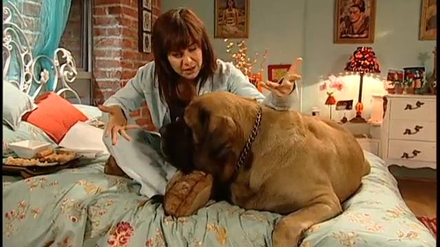 Capítulo 4 | Lola