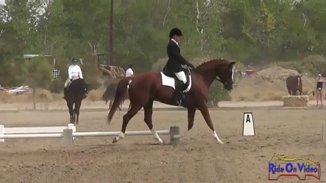 228D Lisa Sabo Novice Horse Dressage Twin Rivers Ranch Sept 2012