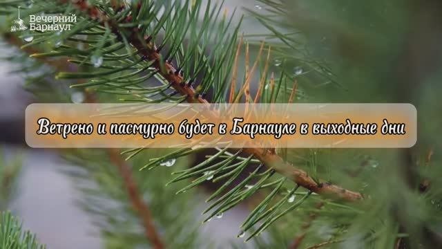 Ветрено и пасмурно будет в Барнауле в эти выходные