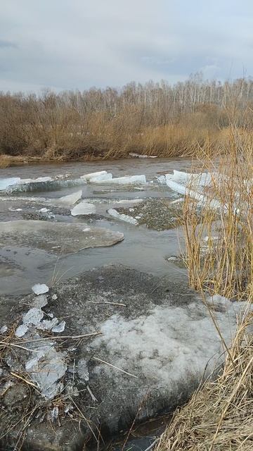 Ледяной затор