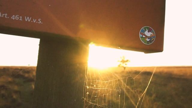 Закат в пустыне