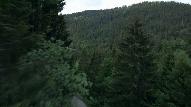 Tara, Zaovine