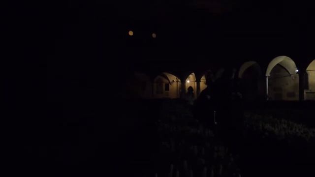 Pellegrinaggio di S. Luca - a Bologna si prega tutta la notte