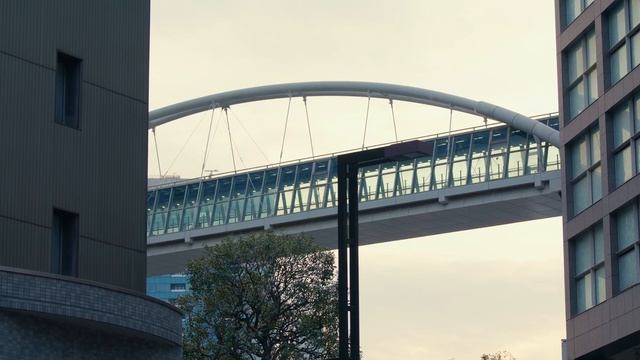 20231219 明治通り