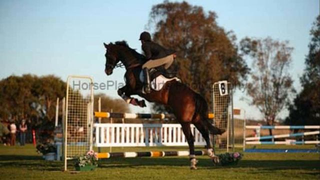 Belcam Aircraft - Agrade EFA Showjumper - For Sale