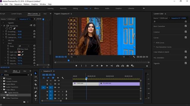 How i color grade in adobe premiere pro cc 2018,2019