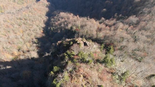 Gulebi fortress.