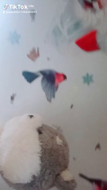 b77b73f7-845c-4c80-beb2-65d77bcfa98d-watermark.mp4