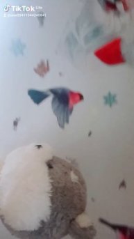 b77b73f7-845c-4c80-beb2-65d77bcfa98d-watermark.mp4