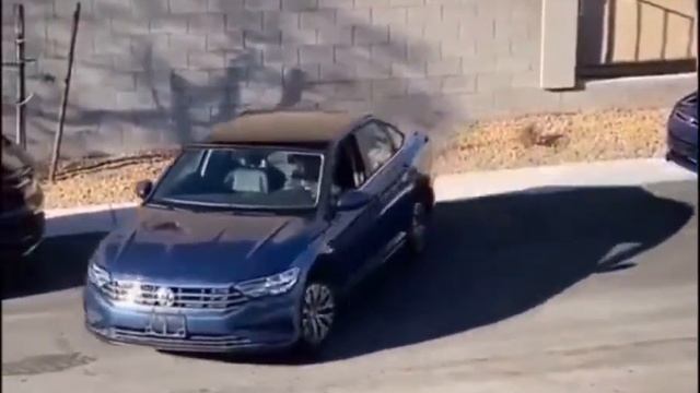 Женская взаимовыручка