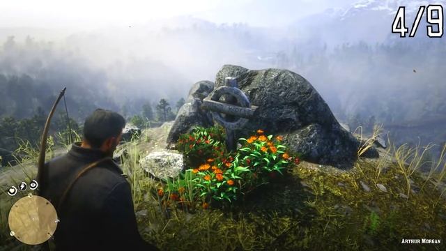 RDR 2 | RESPEKT ZOLLEN ➡ ALLE GRÄBER | ERFOLG