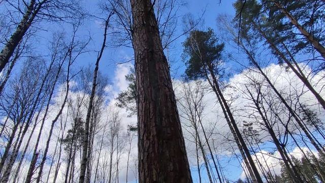 Результат зимней молнии