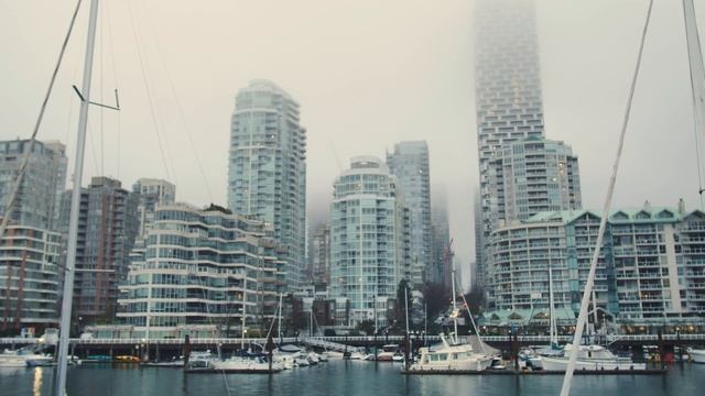 Побережье в городе, покрытом туманом