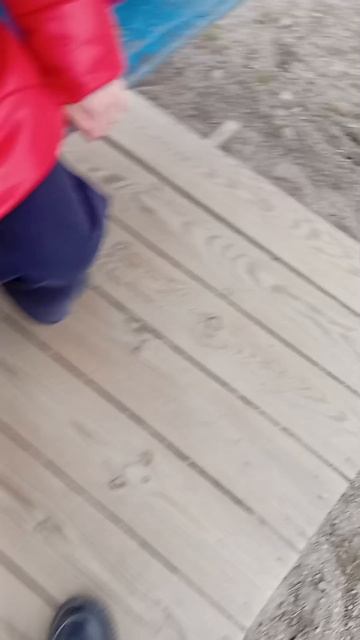 1000009650.mp4