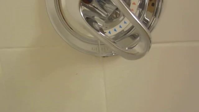 MVI_0455.MOV