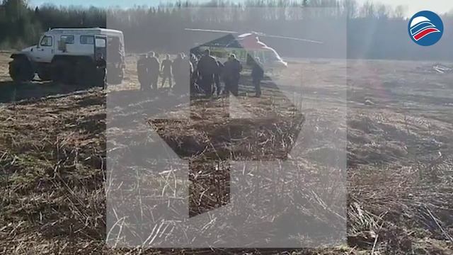 В Подмосковье 30-летний мужчина чудом выжил после схватки с медведем и дозвонился до спасателей