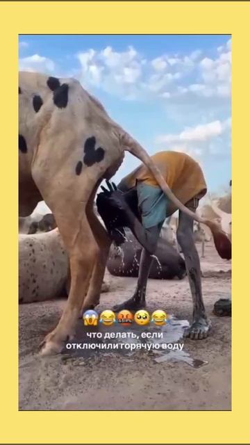 Тёпленькая пошла 💦🤣