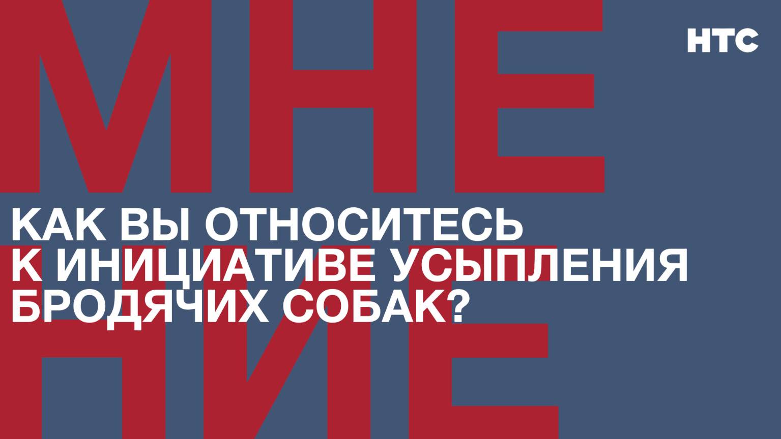 Мнение: Как вы относитесь к инициативе усыпления бродячих собак?