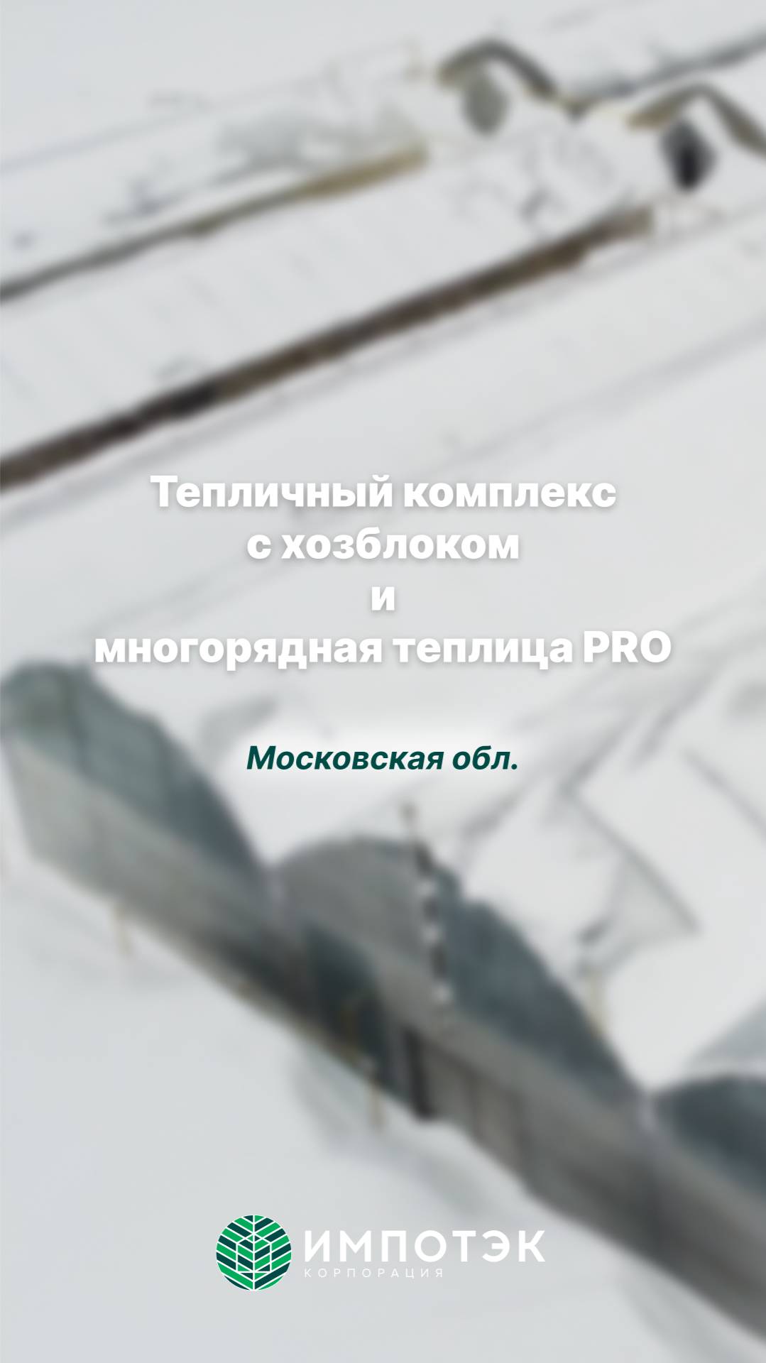 Промышленные теплицы в питомнике растений