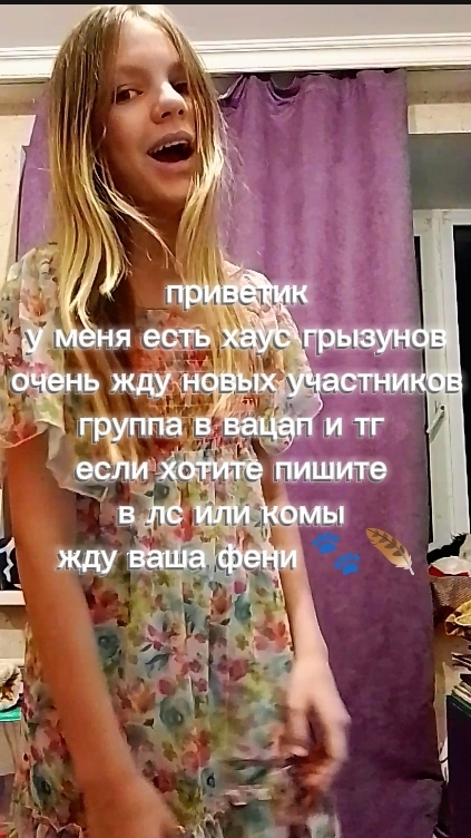 хаус погрызунчиков
