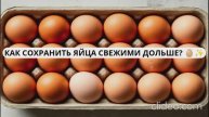 как правильно хранить куриные яйца