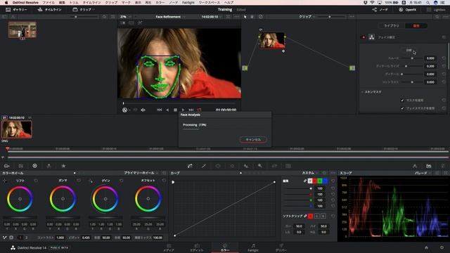 DaVinci Resolve 14 フェイス修正