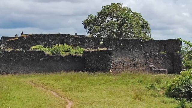 Conservation Project - Kilwa, Tanzania