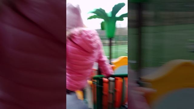 VID_20250404_165526.mp4