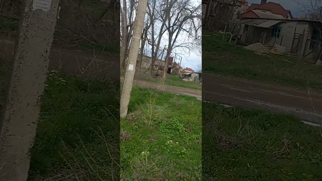 Кубанская станица