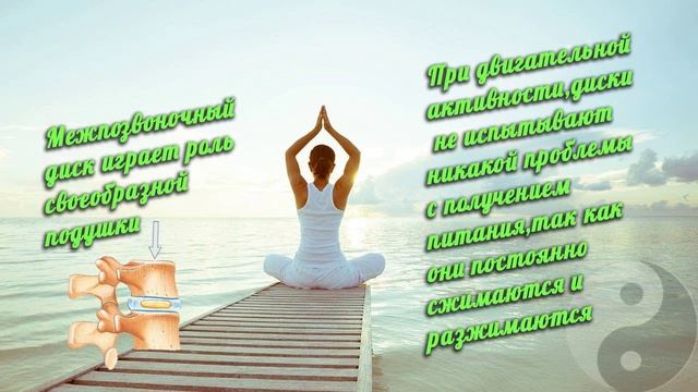 Упражнения для позвоночника.Отделы позвоночника