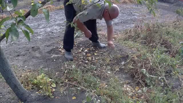 ЖИВЕМ В ДЕРЕВЕ!!ВЫЧИЩАЮ ОВОЩНЫЕ ГРЯДКИ!!ИНТЕРЕСНАЯ БАНКНОТА!!ЗАКЛЮЧИЛ УДАЧНУЮ СДЕЛКУ!!!Всем привет!